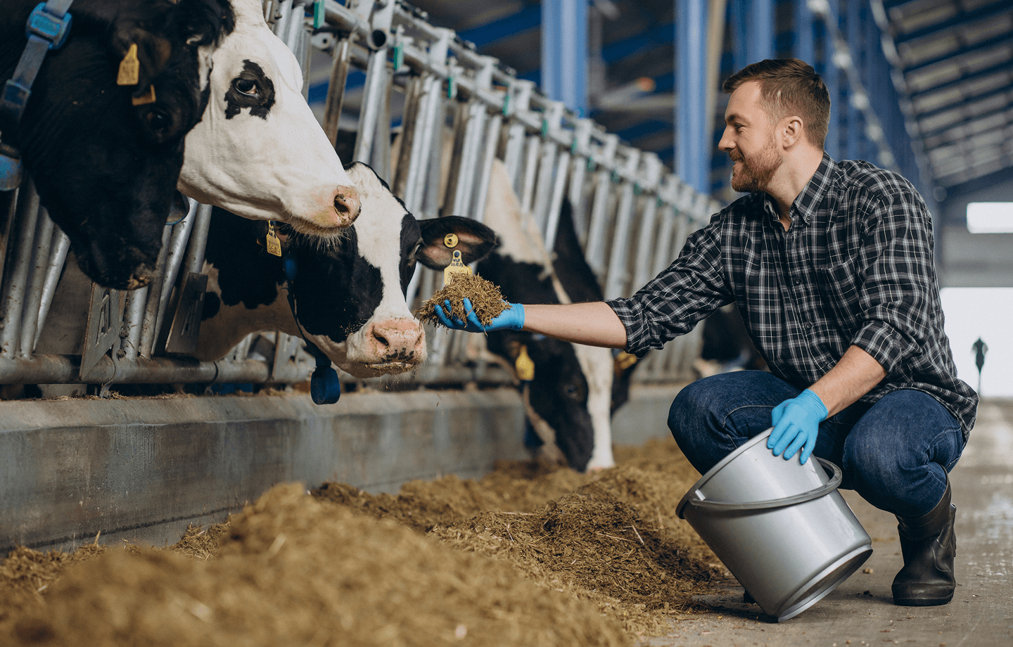 Farming